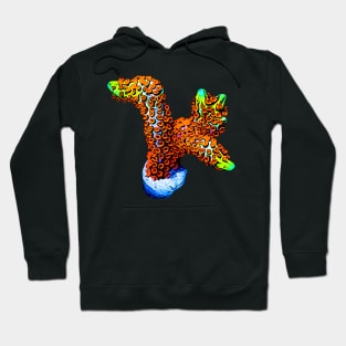 Forest Fire Digi Hoodie